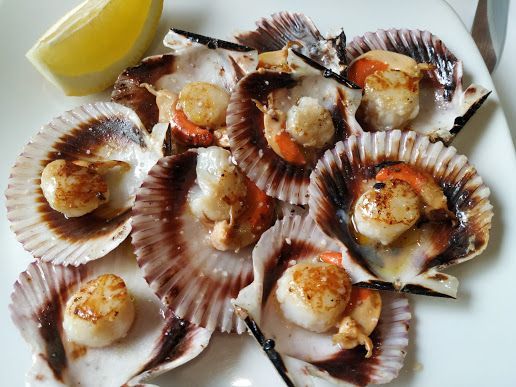 Un plato blanco cubierto con vieiras y una rodaja de limón.