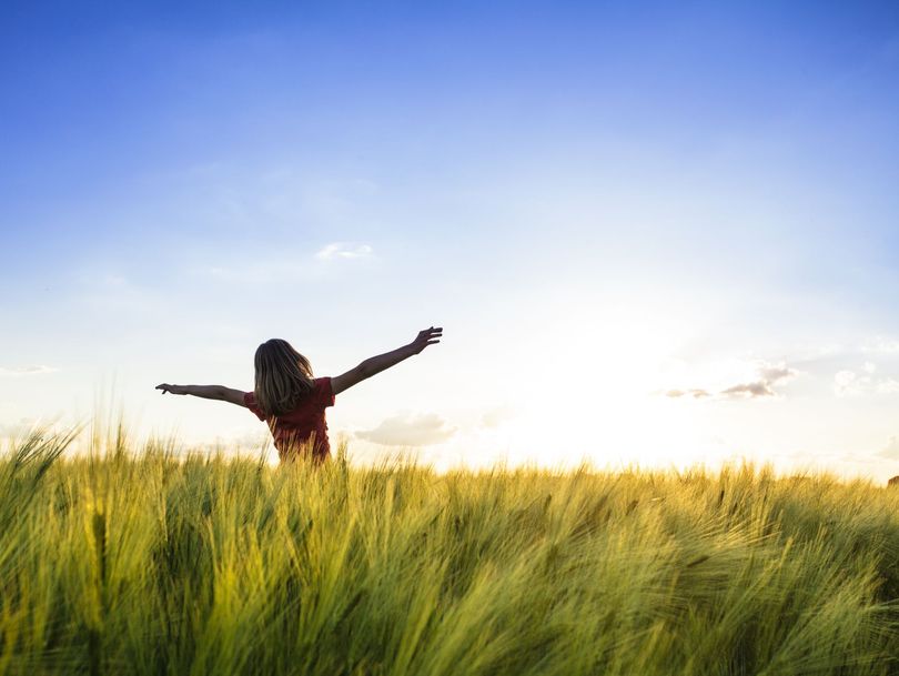 Personne les bras étendus dans un champ ensoleillé d'herbes hautes sous un ciel bleu.
