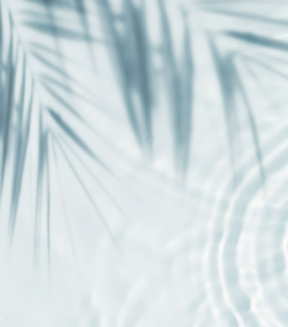 Ombres bleu-gris clair de feuilles de palmier sur un mur clair, avec de doux motifs lumineux ondulés.