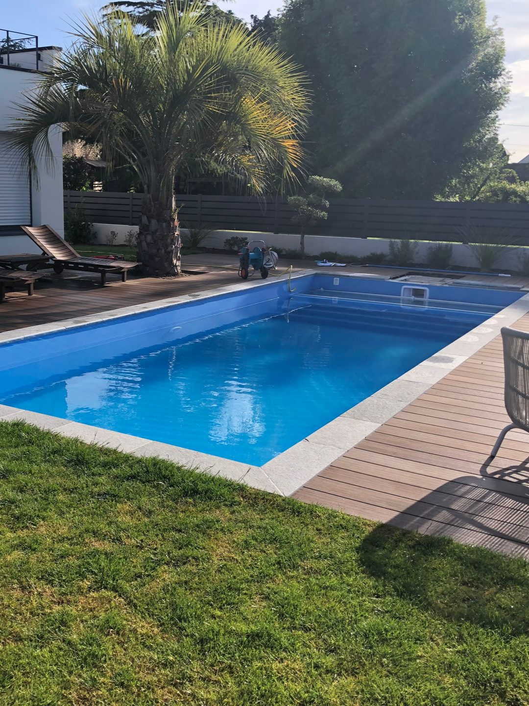 Piscine rectangulaire bleue avec un palmier, entourée d'une terrasse et d'une pelouse verte.