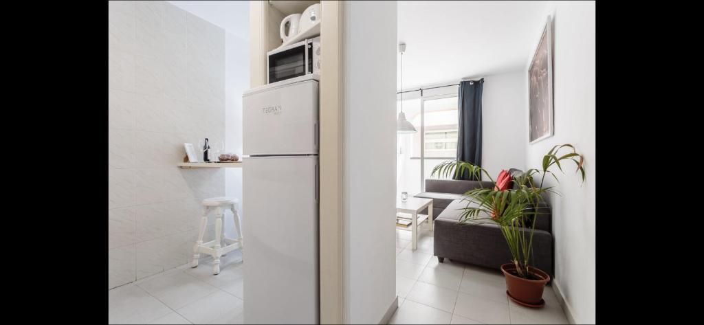 Luminoso apartamento minimalista con un pasillo estrecho, paredes blancas y un sofá oscuro junto a una ventana soleada con plantas.