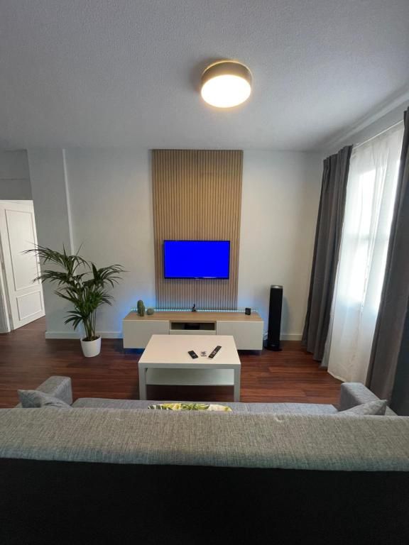 Salón moderno con sofá gris, mesa de centro, televisor montado en la pared, planta y ventanales altos con cortinas