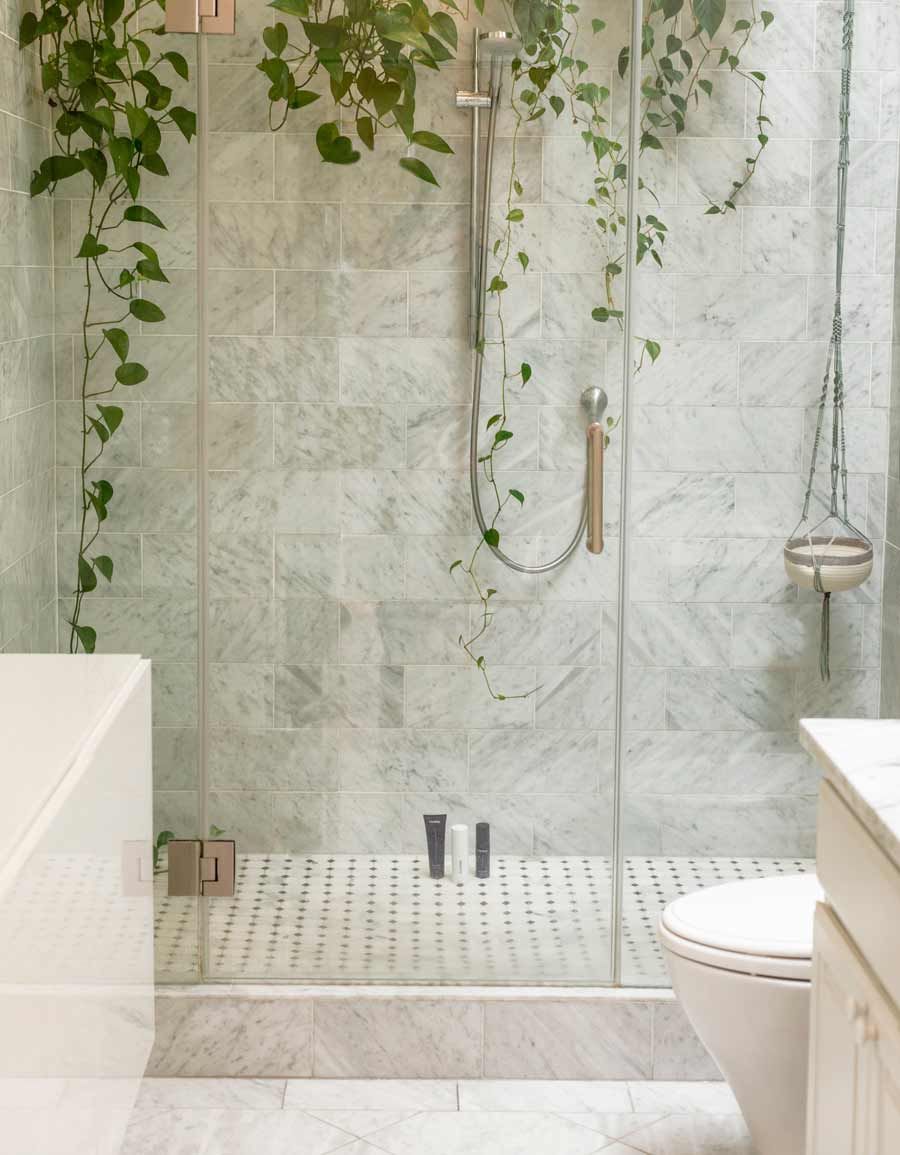 Douche moderne avec carrelage blanc, paroi de verre et plantes grimpantes vertes.