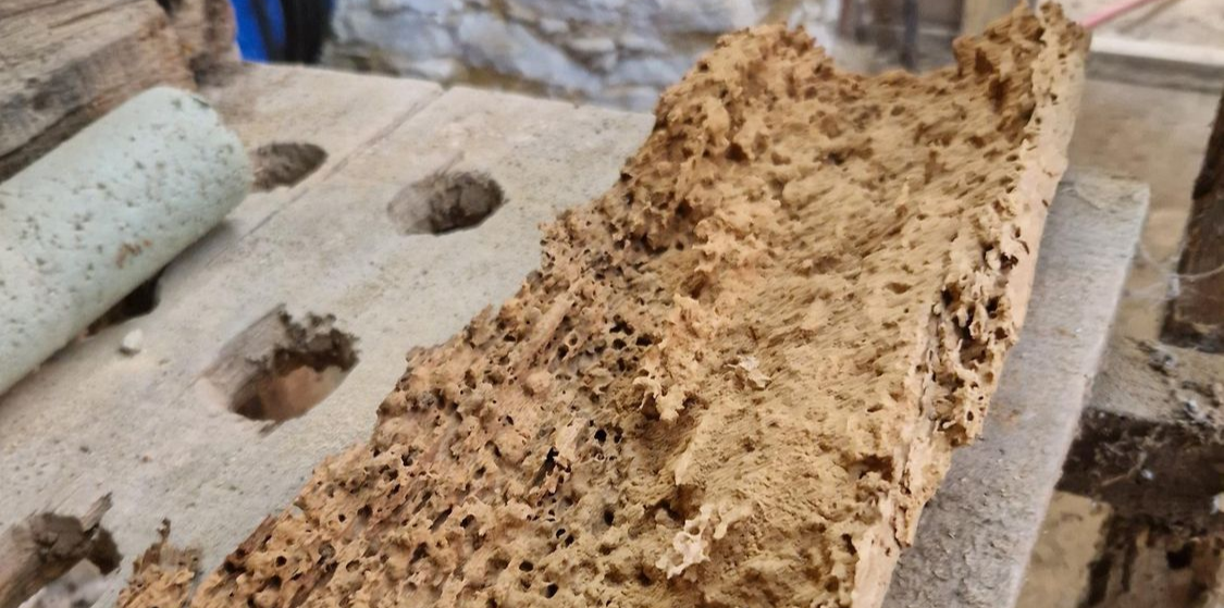 Surface en bois clair fortement altérée montrant de nombreuses zones évidées et une texture irrégulière.