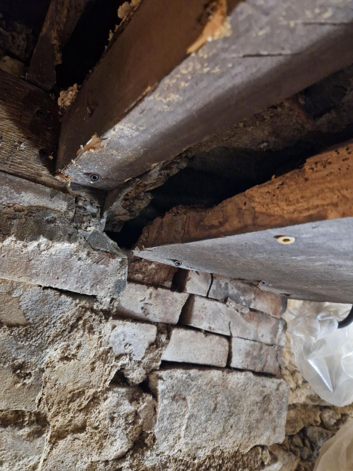 Bois traiter par injection contre les capricorne des maison 