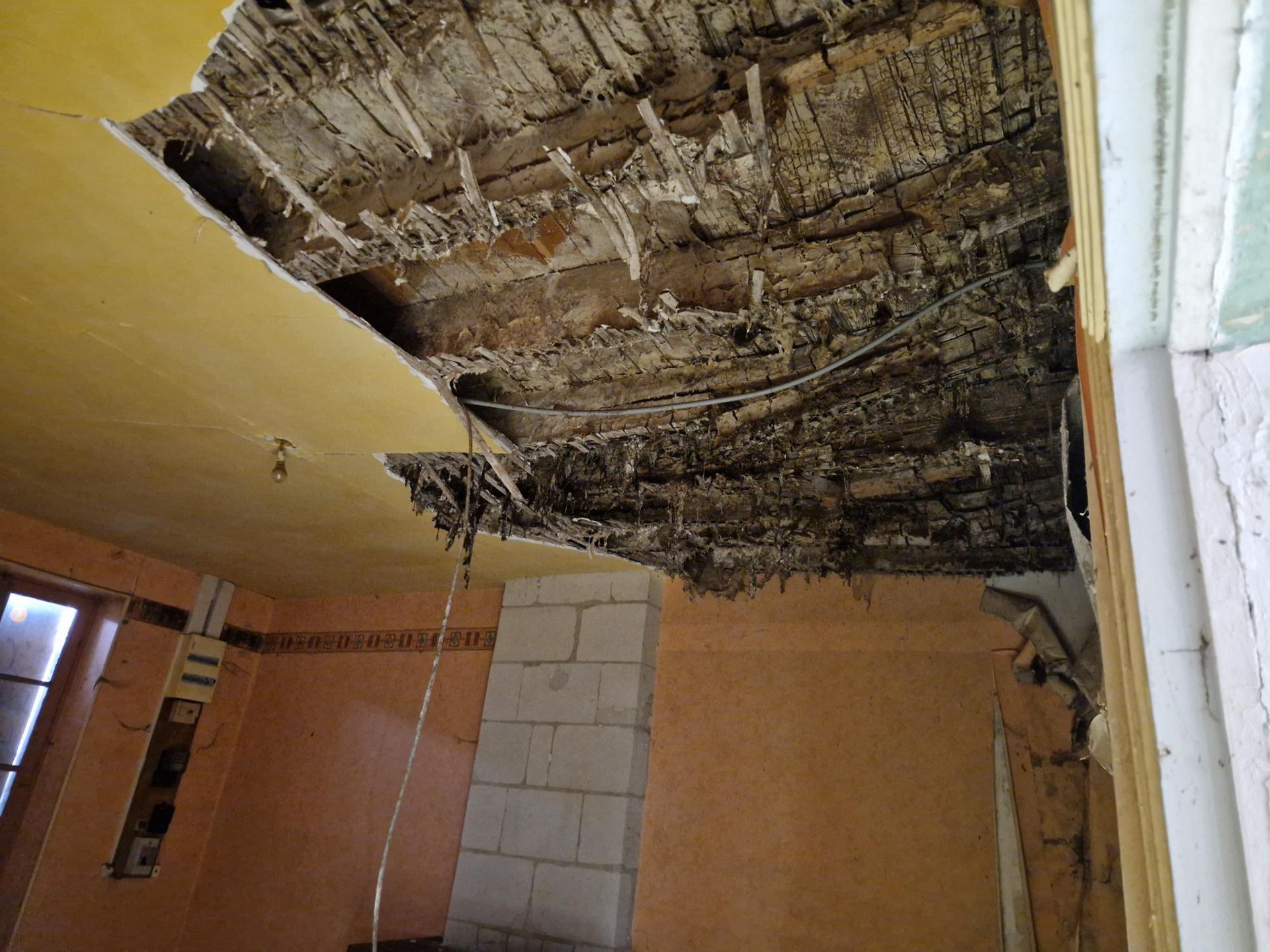 Pourriture cubique causé par la mérule sur du bois.