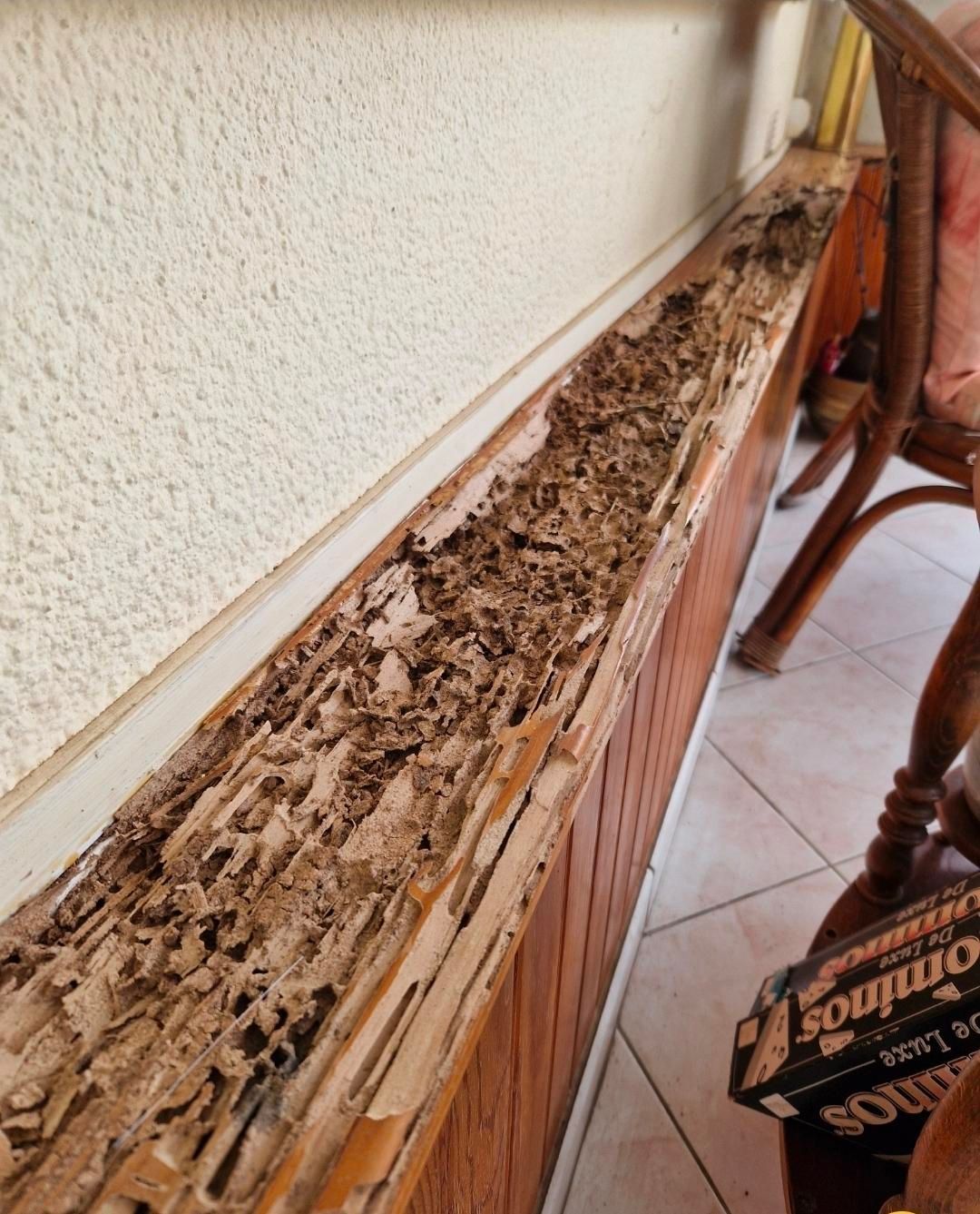 Dégâts réalisés par les termite sur du bois.