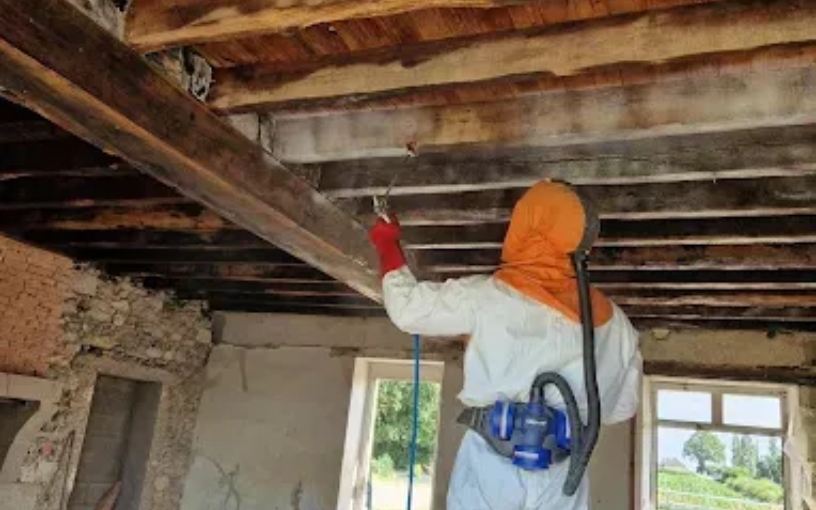 Traitement par pulvérisation des bois contre les capricornes et les vrillettes, termites avec du gel 