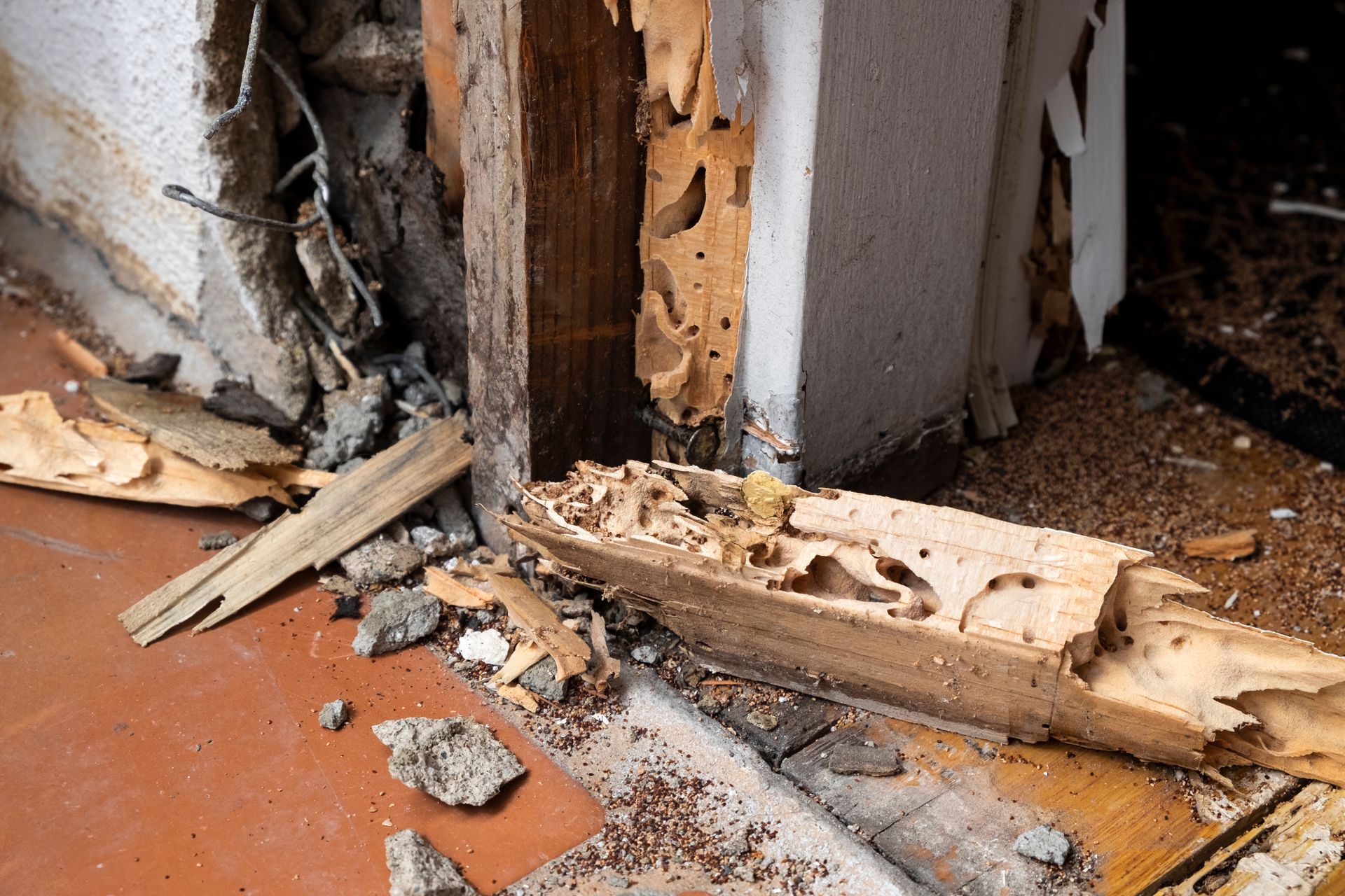 Bois de maison abîmé par des insectes