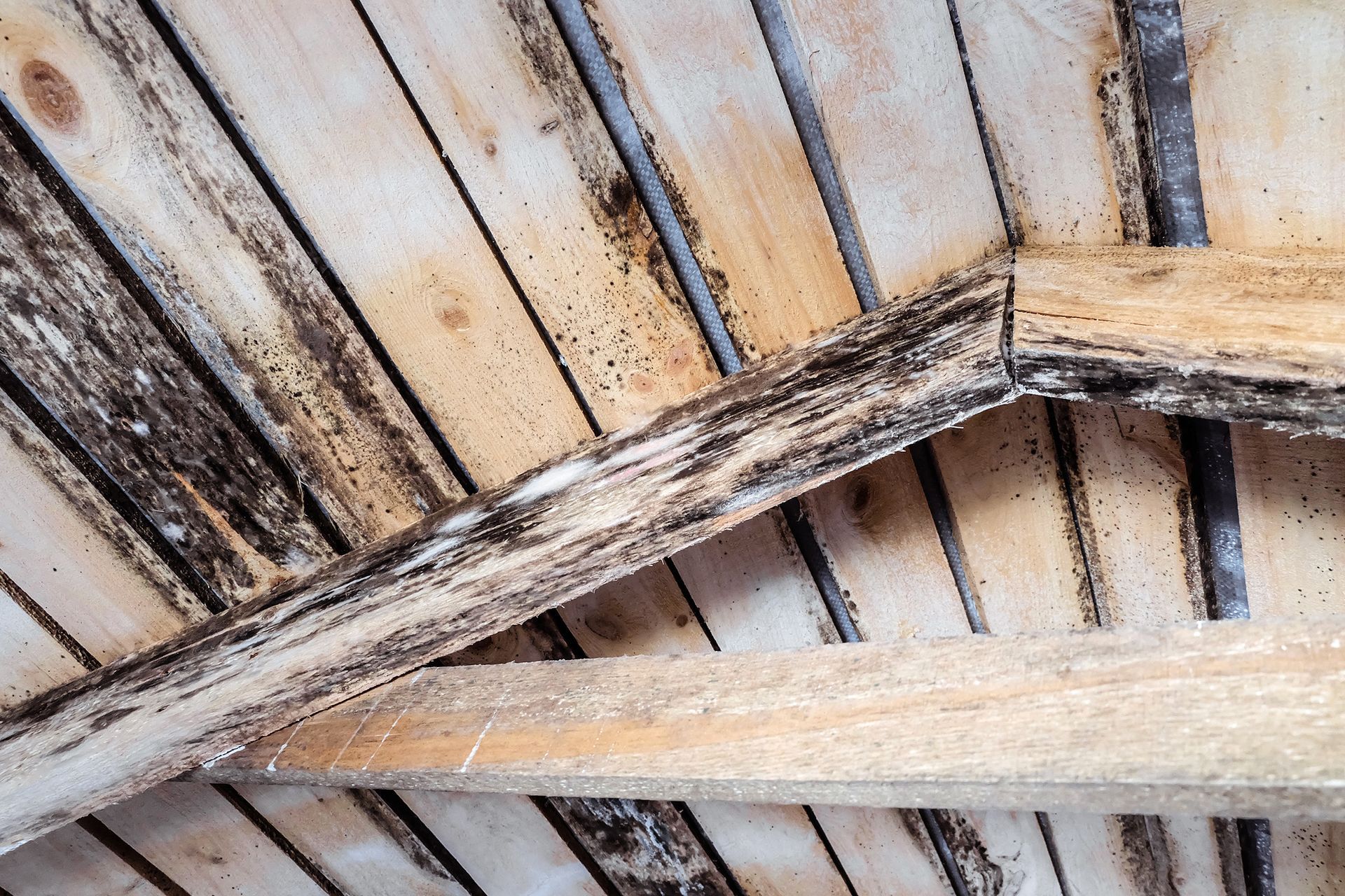 Plafond en bois décapé