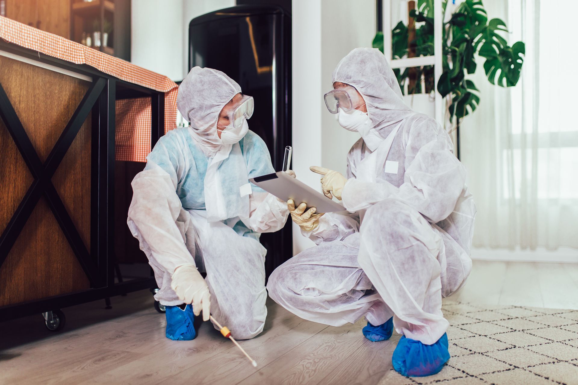Des experts des insectes xylophages