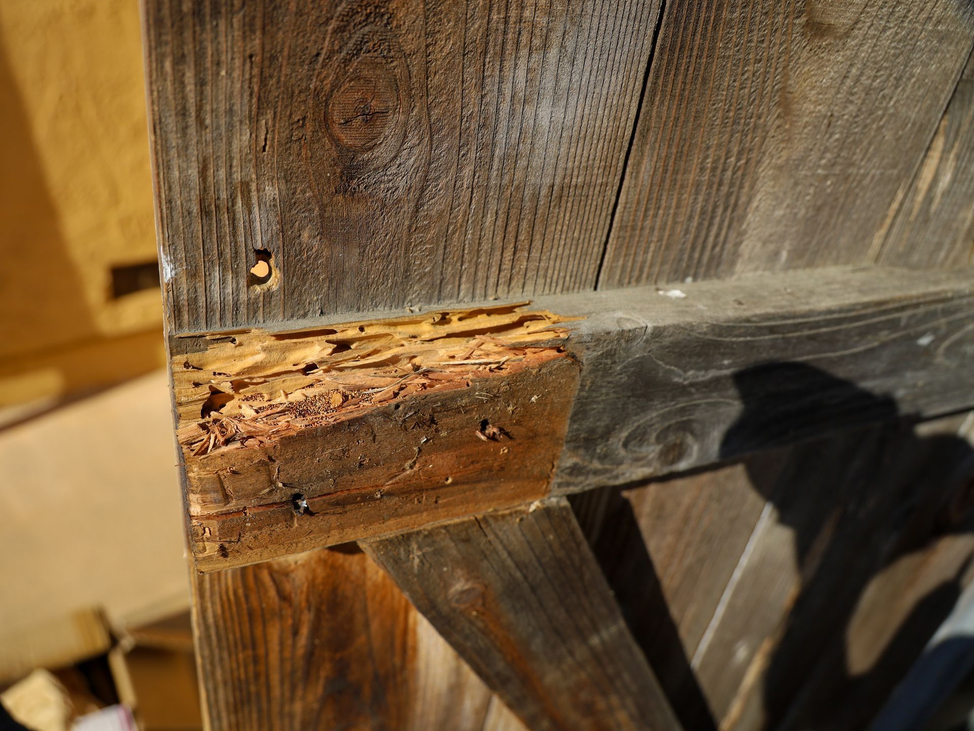 Structure en bois montrant une dégradation visible de la surface et de l'intérieur du matériau.