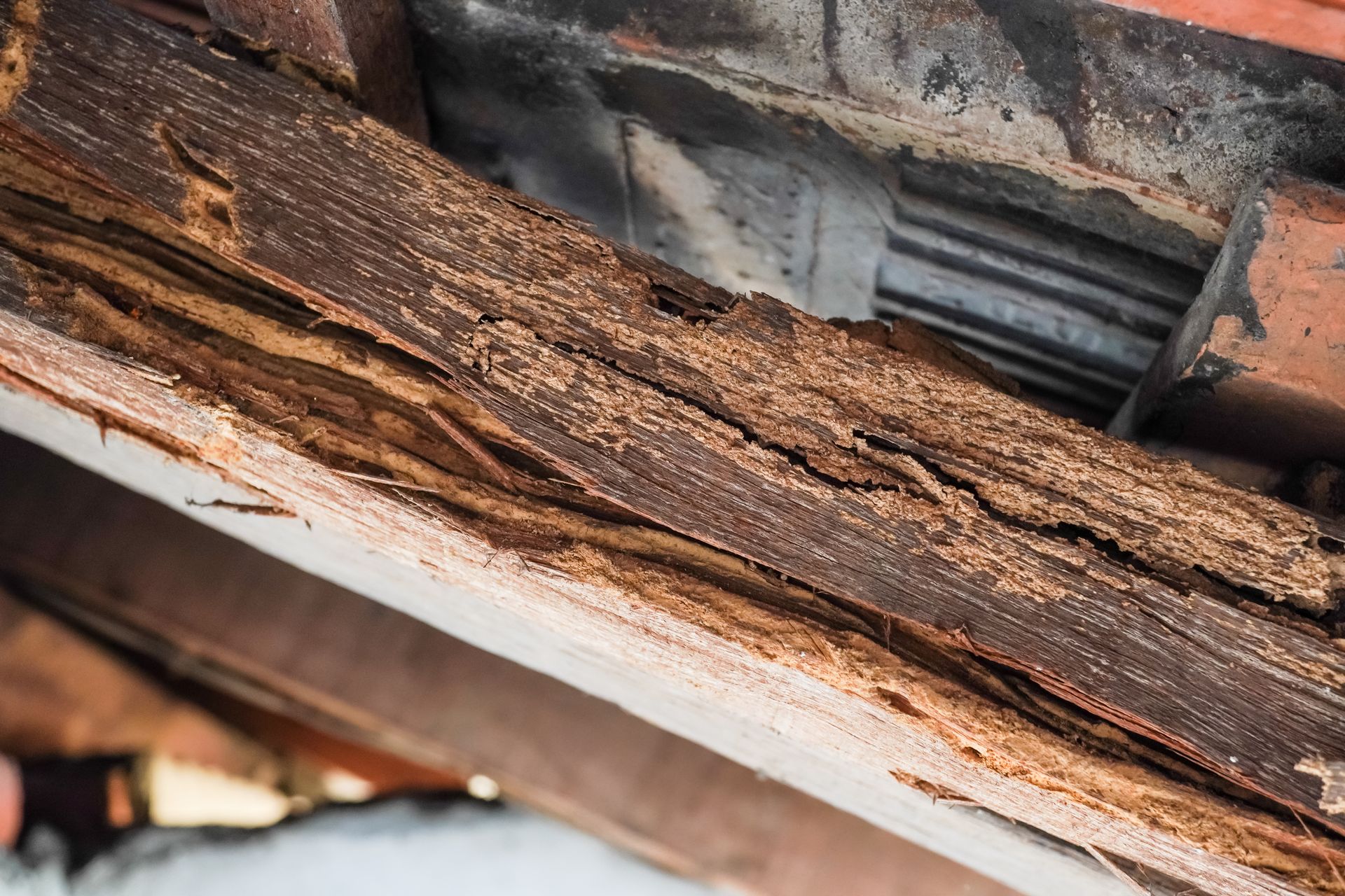Poutre en bois fortement dégradée présentant des fissures et des couches de matière détachées.