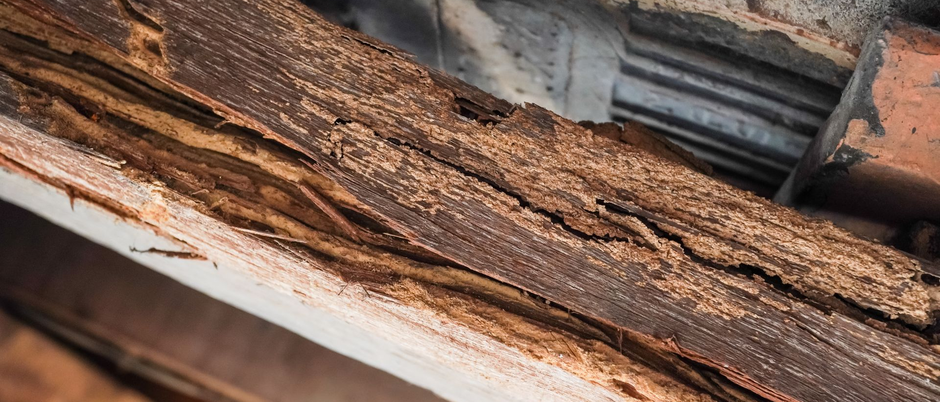 Gros plan sur une pièce de bois présentant des fissures profondes, des couches de matière soulevées et des zones fortement dégradées.