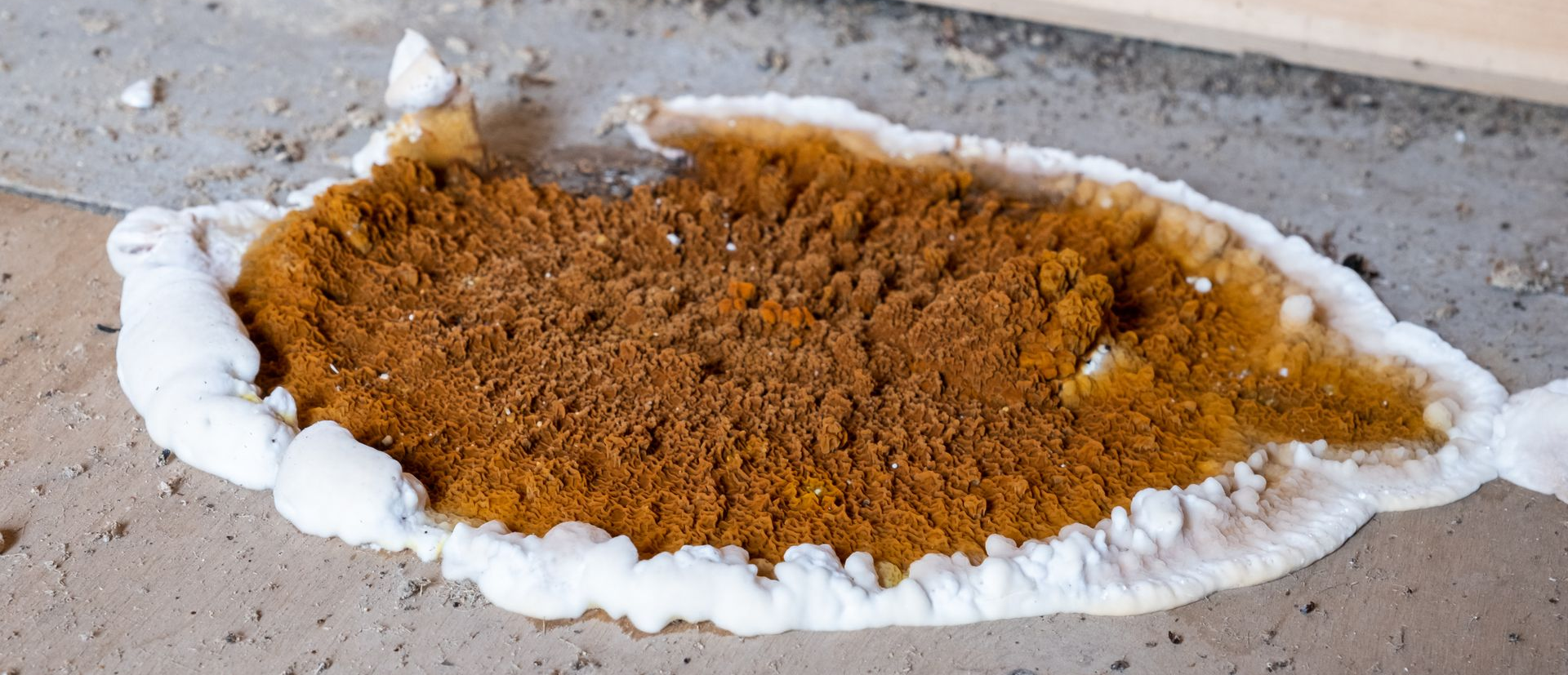 Formation brun-orangé à texture granuleuse bordée d'une zone blanche épaisse et ondulée.