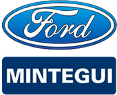 Ford Mintegui