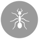 Eine weiße Ameise befindet sich in einem grauen Kreis.