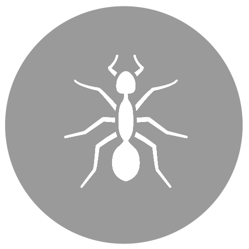 Eine weiße Ameise befindet sich in einem grauen Kreis.