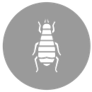 ein weißes Symbol einer Biene in einem Kreis auf weißem Hintergrund.