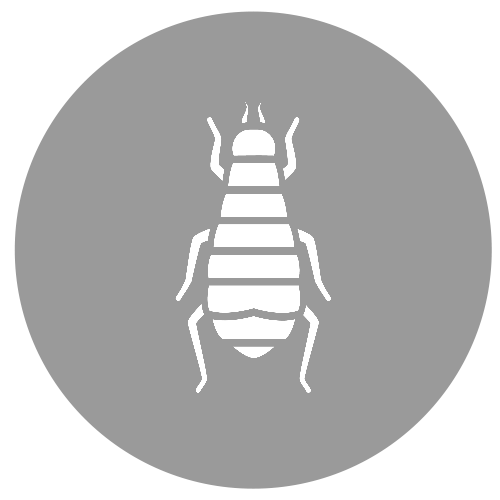 ein weißes Symbol einer Biene in einem Kreis auf weißem Hintergrund.