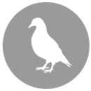 Ein weißer Vogel sitzt im Kreis auf grauem Hintergrund.