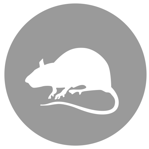 eine Silhouette einer Ratte in einem Kreis auf weißem Hintergrund.