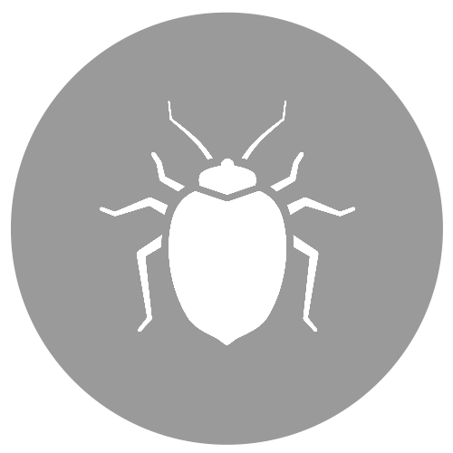 ein Bettwanzen-Symbol in einem Kreis auf weißem Hintergrund.