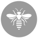 Eine weiße Biene befindet sich in einem grauen Kreis.