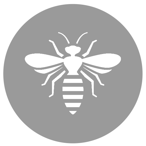 Eine weiße Biene befindet sich in einem grauen Kreis.