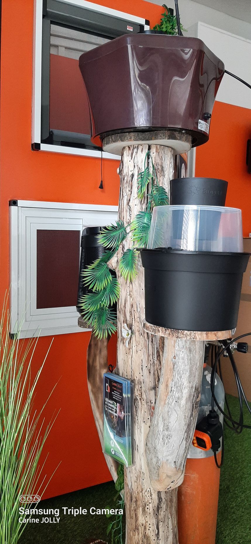 Piège à moustiques