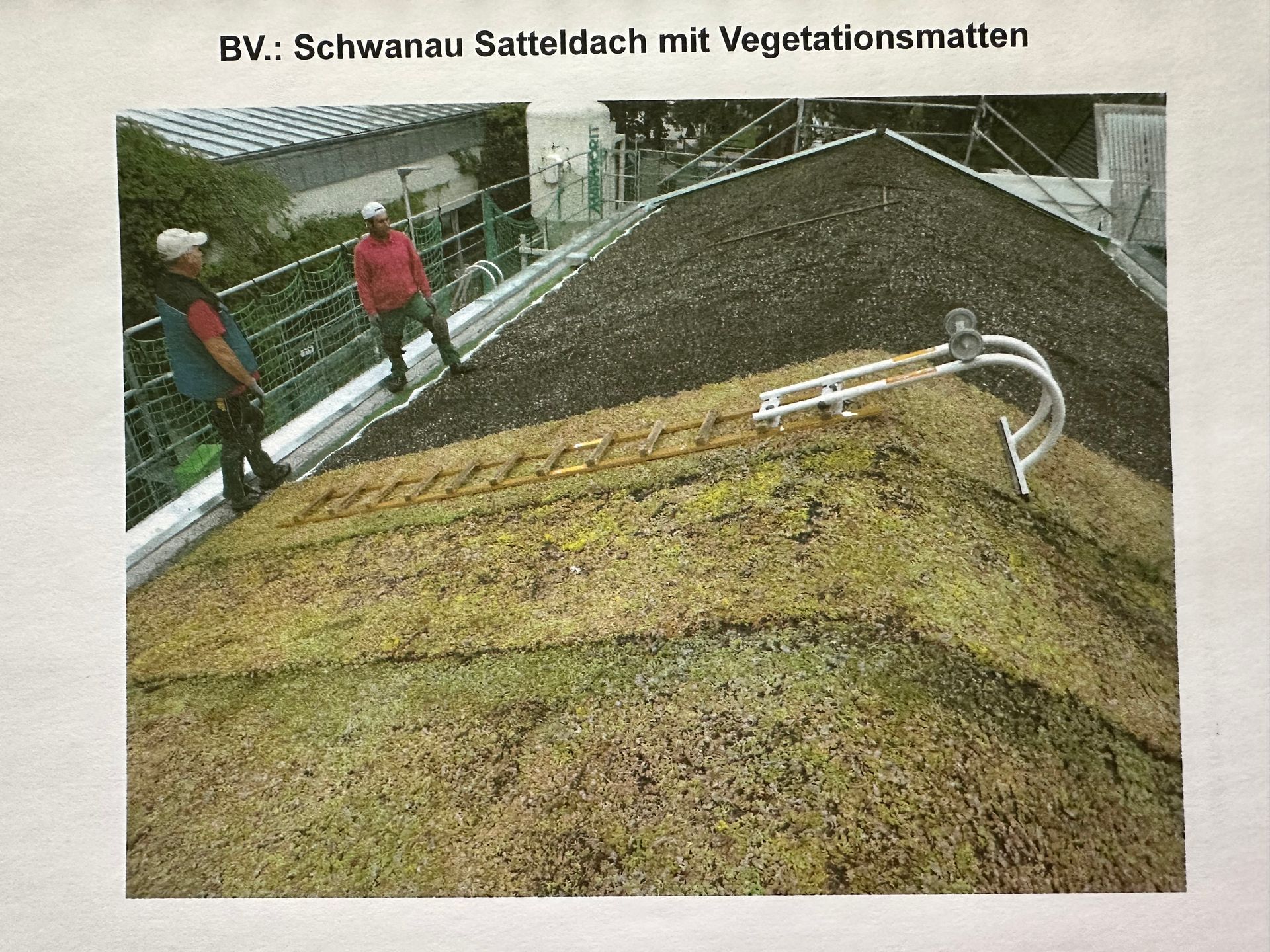 Schwanau Satteldach mit Vegetationsmatten