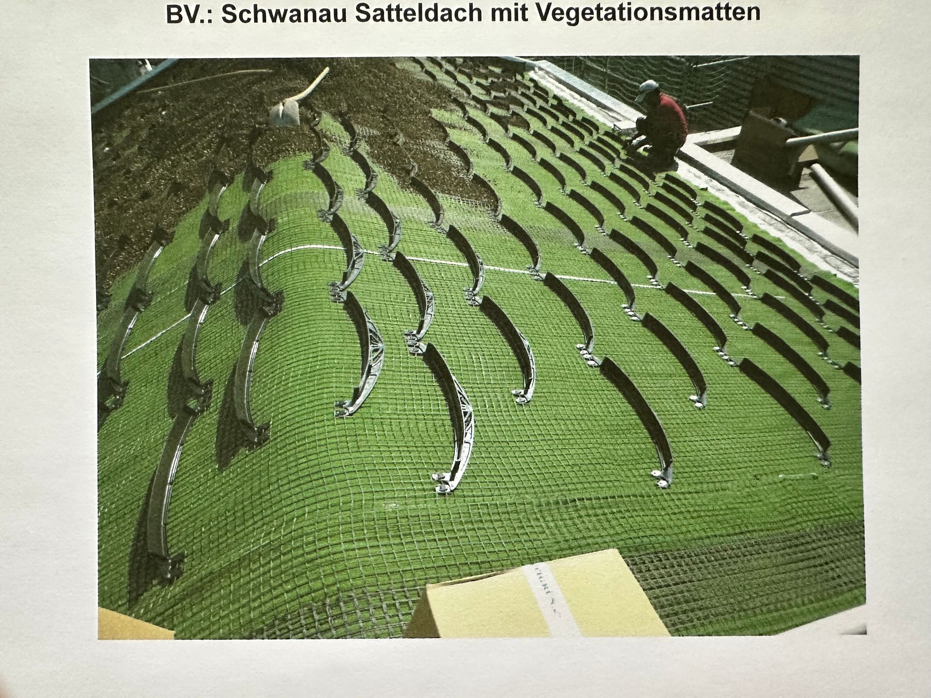 Schwanau Satteldach mit grünen Vegetationsmatten