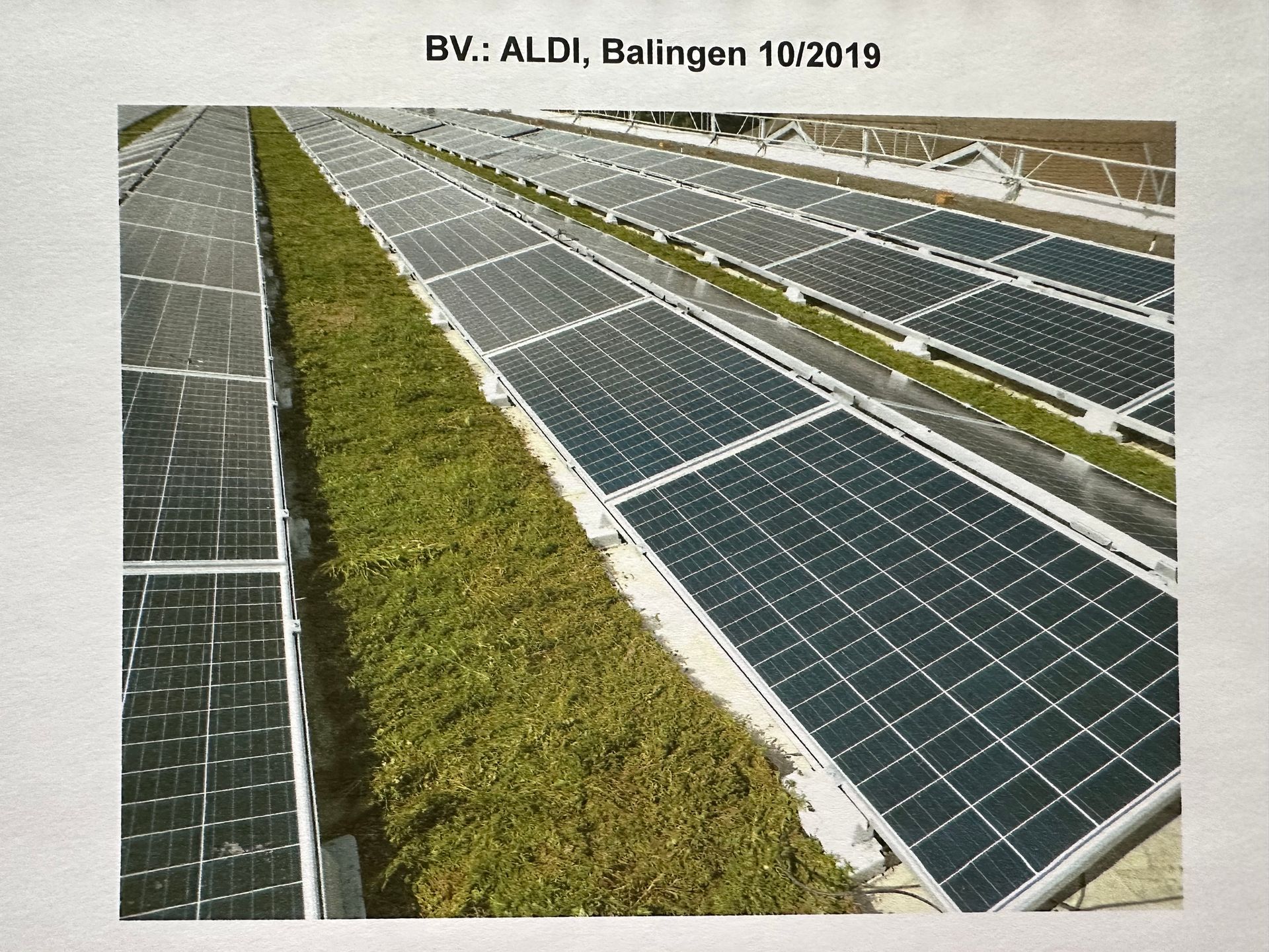 Aldi Balingen Begrünung