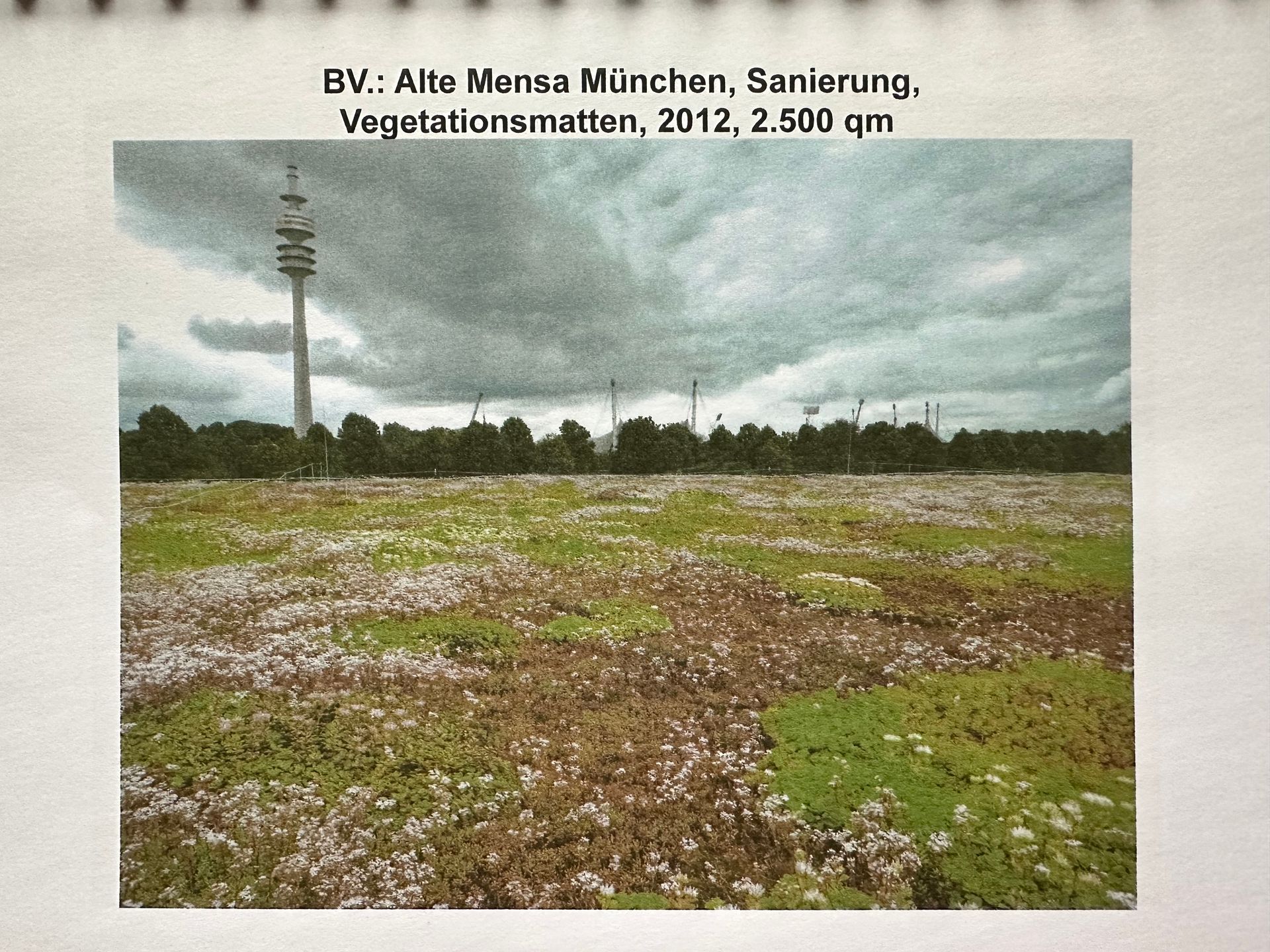 Alte Mensa München Sanierung