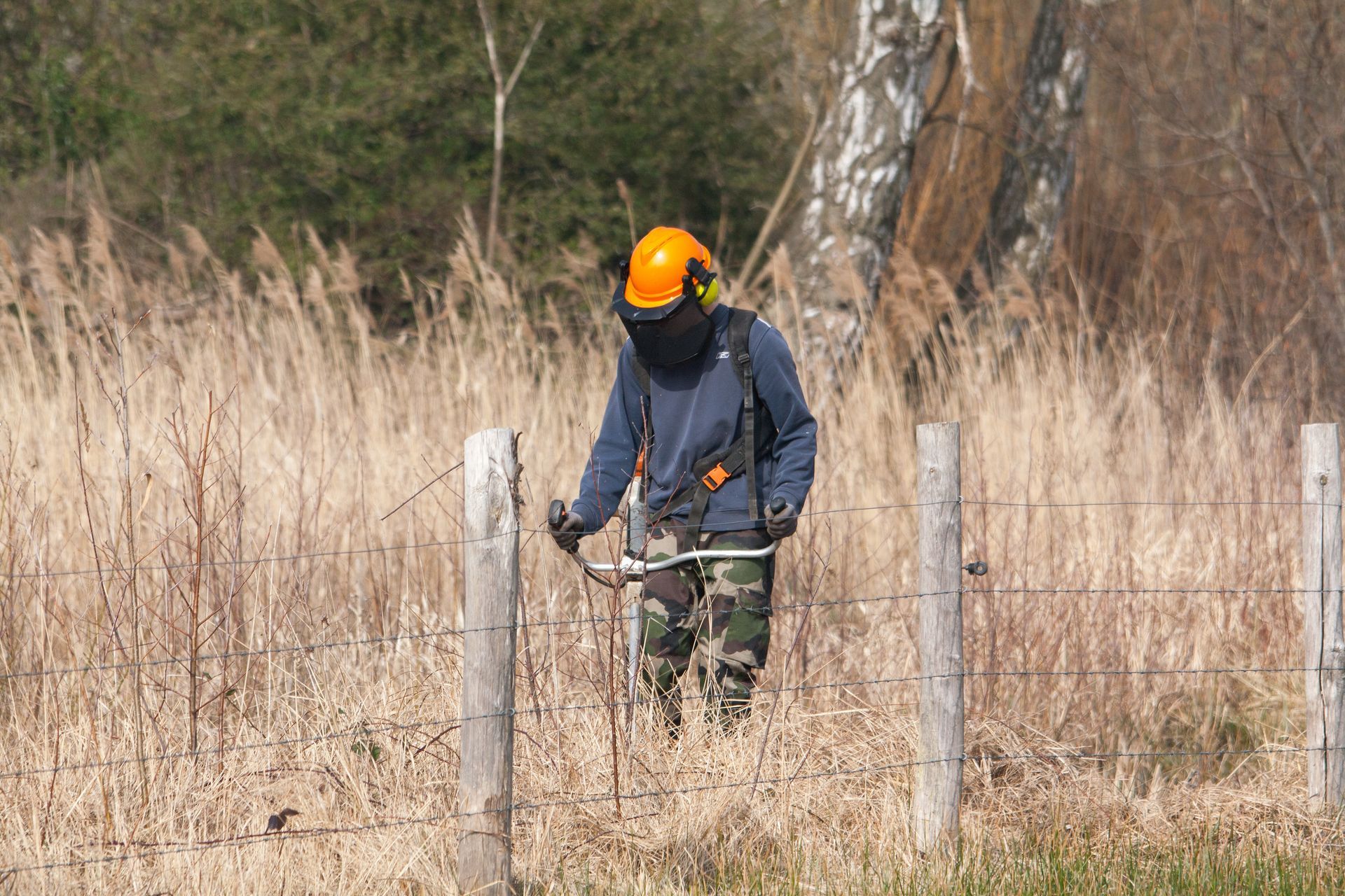 Débroussaillage d'un pré