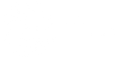 Travelling 2000 SA logo
