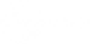 Travelling 2000 SA logo