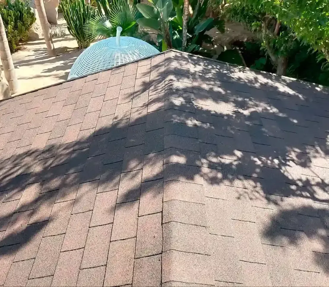 Un techo con una sombrilla azul y árboles al fondo.