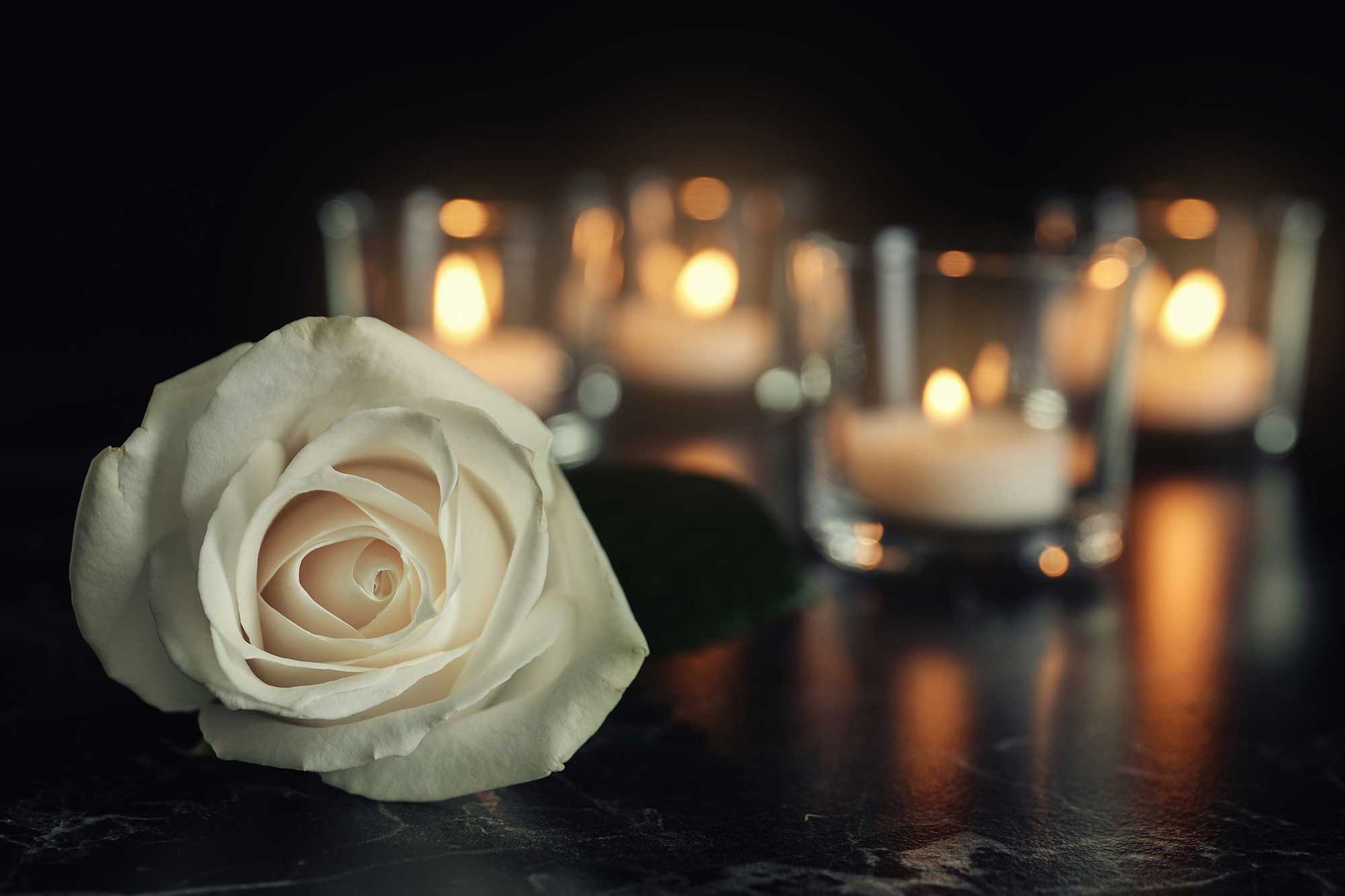 Weiße Rose auf einem dunklen Tisch, im Hintergrund sanft leuchtende Kerzen.