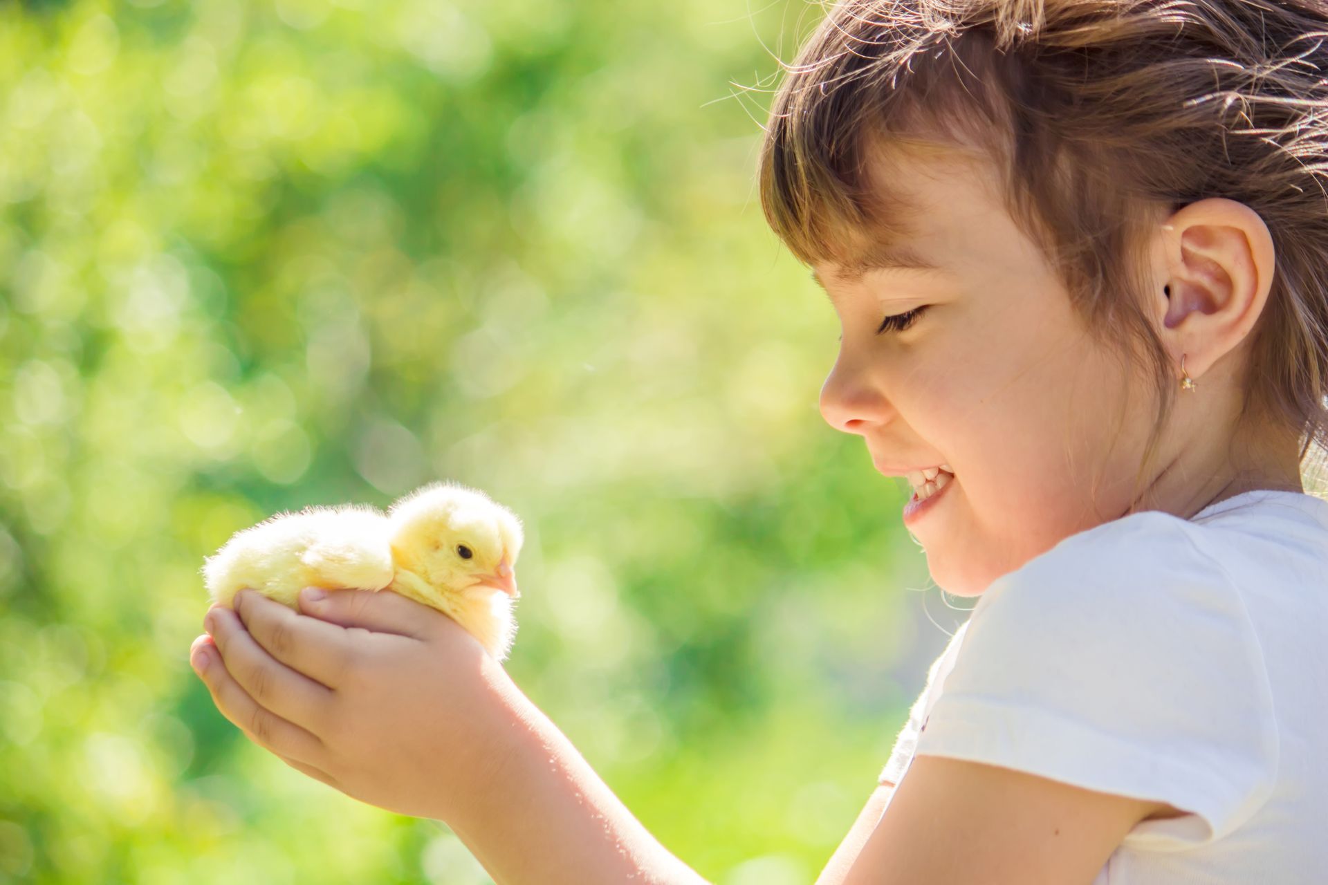 Une enfant tenant un poussin.