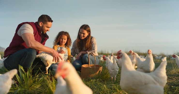 Homme montrant une poule à une famille.