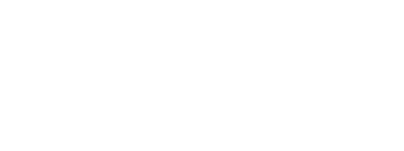 Asociación Promotora de Iniciativas