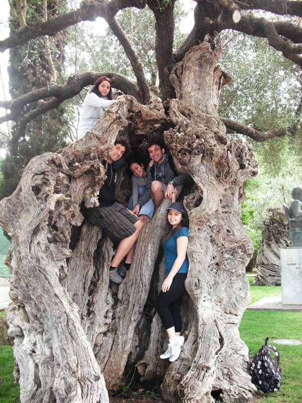 DiscoverEU en Canarias