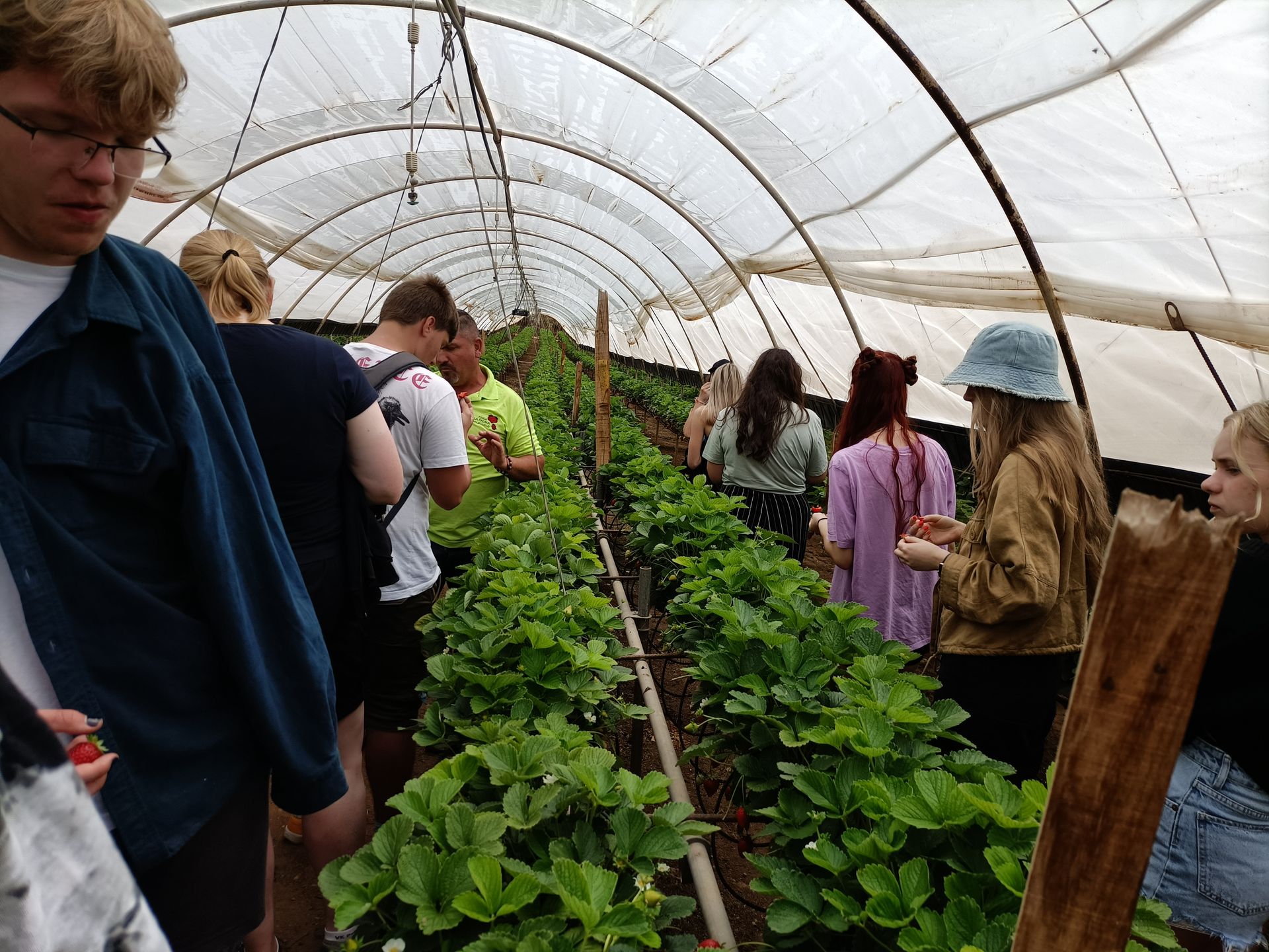 DiscoverEU en Canarias