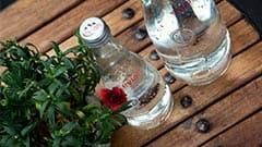 Zwei Flaschen Wasser stehen auf einem Holztisch neben einer Pflanze.