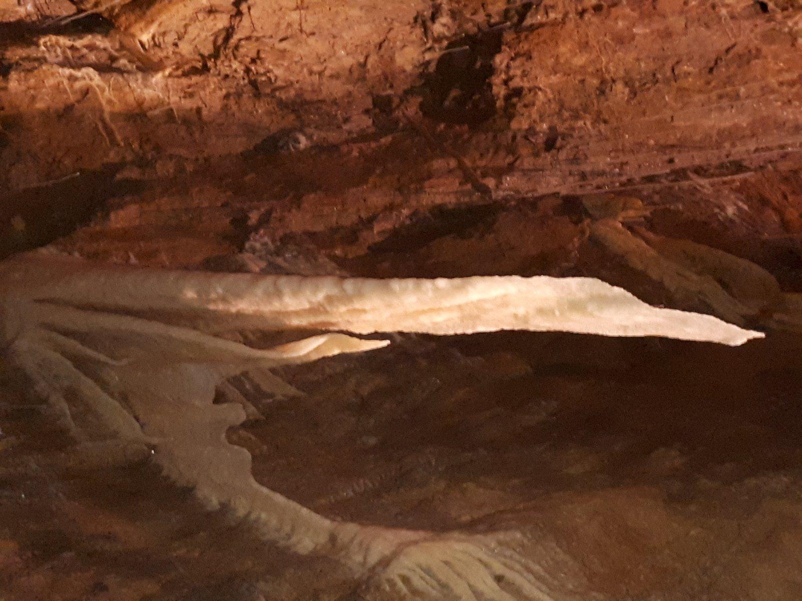 grotte de trabuc mialet2