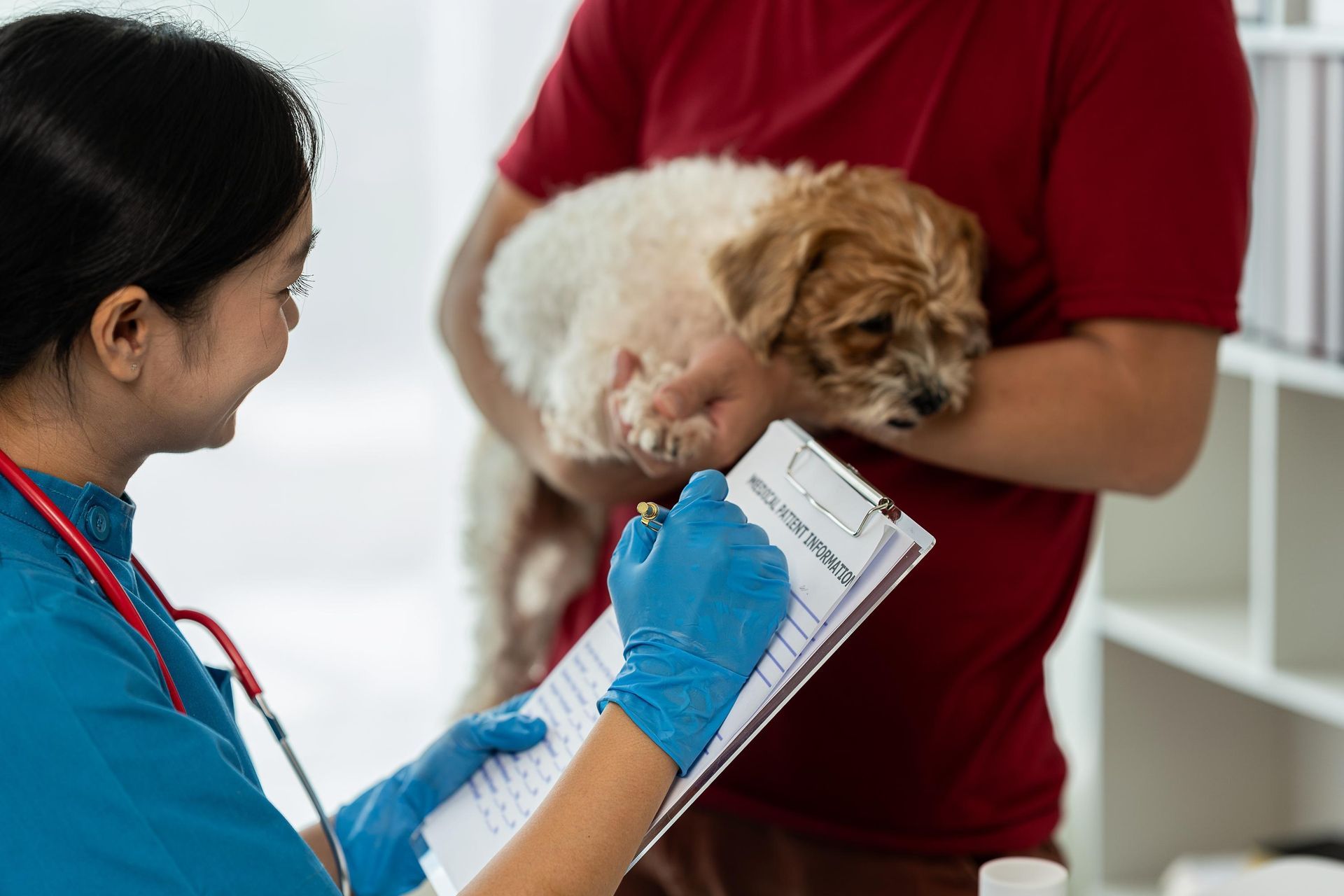 Tierarzt mit Hund und Dokumenten
