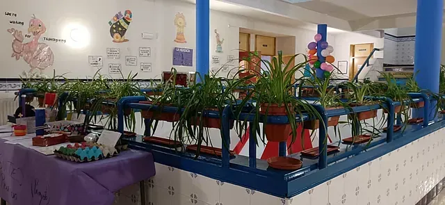 Una habitación llena de muchas plantas en macetas y globos.