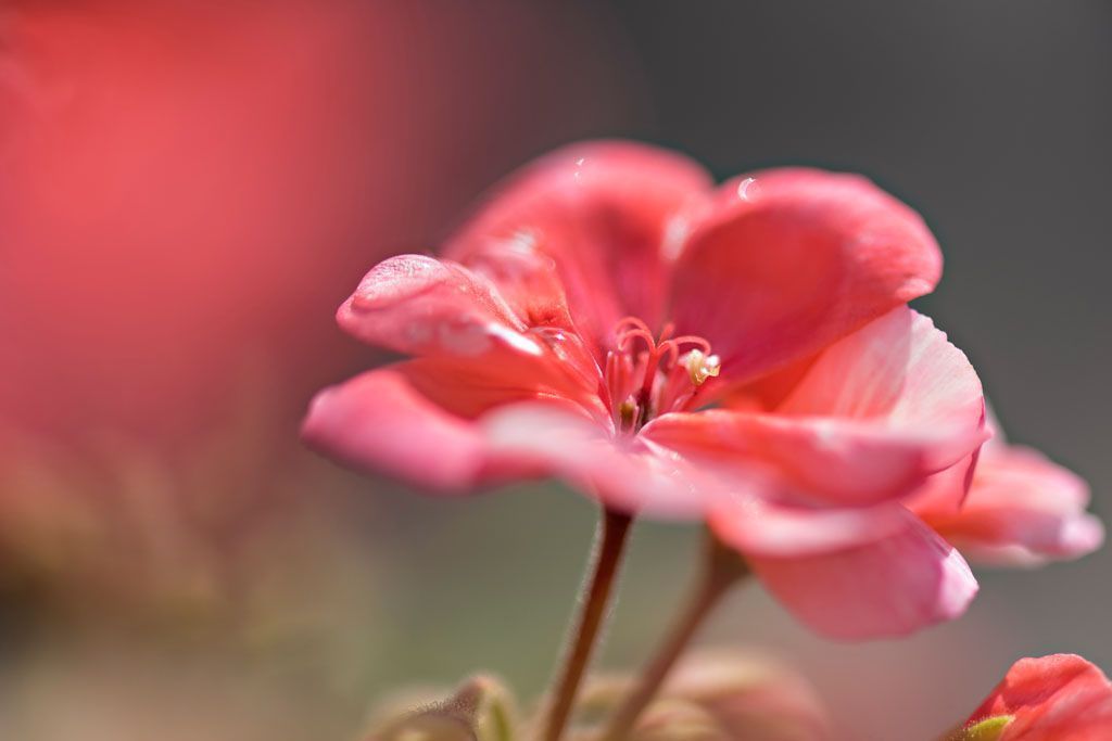 Restaurant Wirtschaft zum Strick