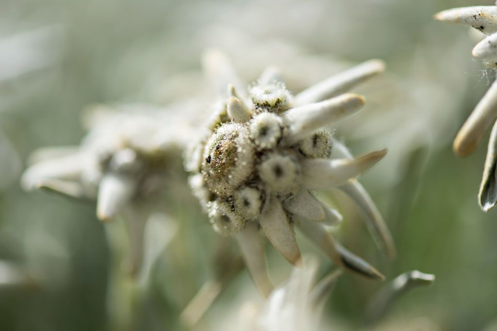 Restaurant Wirtschaft zum Strick